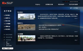 深圳特安电子与广州企业网站服务 融合安全科技与数字营销的跨城合作